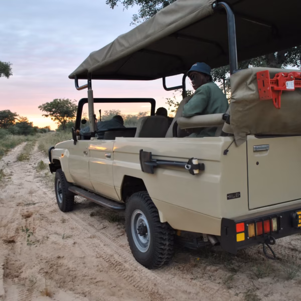 Game Drives